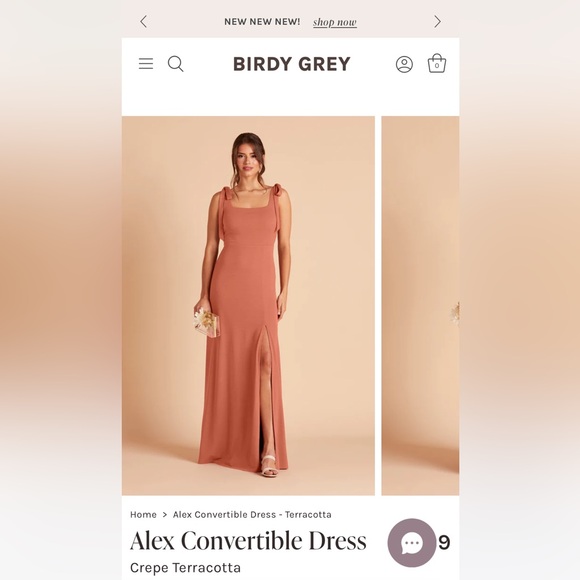 Birdy Grey Alex Convertible Dress in Terracotta (size L) - Picture 3 of 9